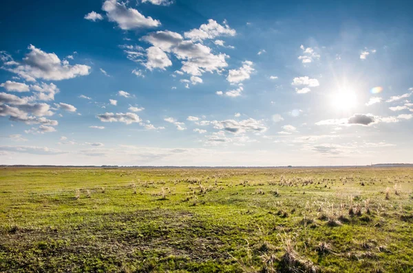 緑の芝生と青い曇り空で太陽のフィールドと夏の風景 — ストック写真