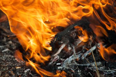 Kamp ateşi alev ve duman. Yanan çırpı ve kuru ot. Atış kapatın.