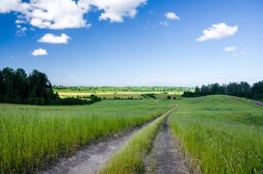 Yaz yeşil çim ve bulutlar ülkede yol, yatay