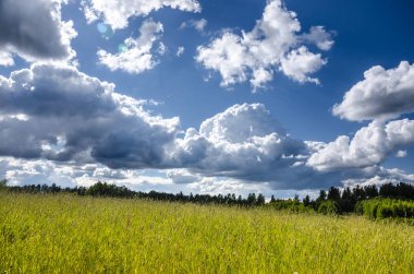 Yaz peyzaj alanı yeşil çimen, mavi gökyüzü ve bulutlar