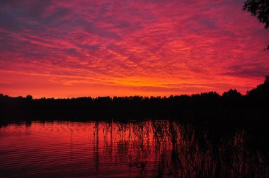 Sunset akşam twilght gölde. Sazlık deniz kenarı. Yaz kırsal manzara