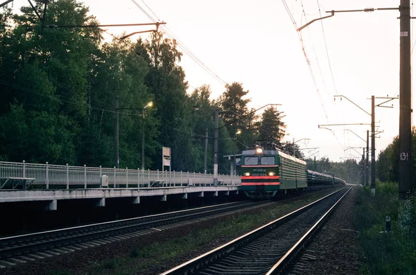 Comboio Carga Vagões Ferroviários Floresta Perene Noite — Fotografia de Stock