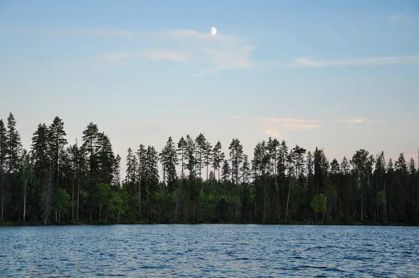 Луна Поднимается Над Озером Сосновым Лесом Лунный Свет Волнах Воды — стоковое фото