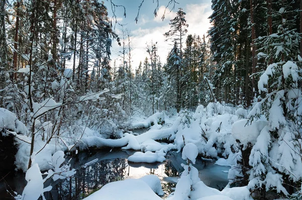 Creek Snowed Winter Forest Sunset — Stock Photo, Image