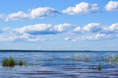 Ladoga Gölü kıyı üzerinde Cumulus bulutları ile mavi gökyüzü.
