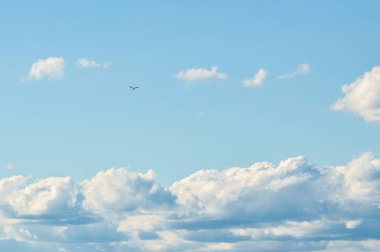 Mavi bulutlu gökyüzü Şahin sinek