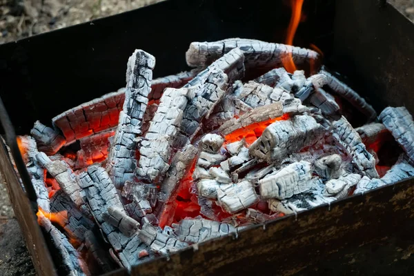 Rozpálený uhlí v grilu. Grilování, piknik — Stock fotografie