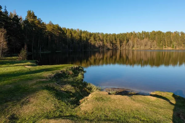 Paisaje del lago. Bosque reflejándose en la superficie del agua —  Fotos de Stock