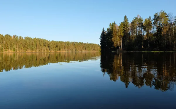 Paisaje del lago. Bosque reflejándose en la superficie del agua —  Fotos de Stock