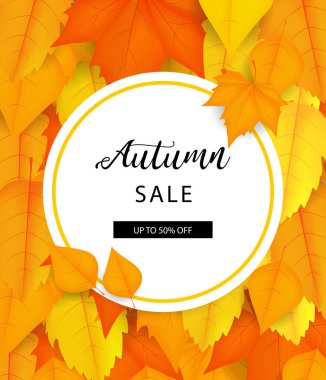 Sonbahar bırakın. Sonbahar yaprakları izole. Turuncu yaprak akçaağaç. Vektör.