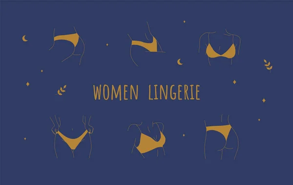 Women body parts. Underwear lingerie. Line art drawing. Vector — Stock Vector