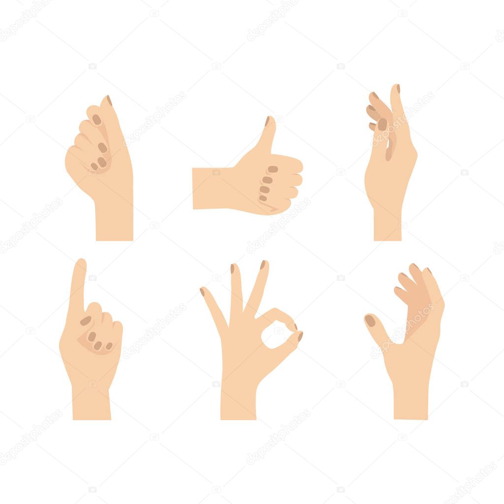 Woman hands. Hand gestures. Flat hand poses. Vector