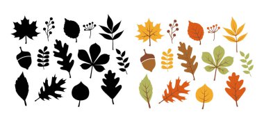 Sonbahar yaprakları. Mevsimlik dekoratif sonbahar güz yaprağı siluetleri. İzole edilmiş basit yaprak tasarımı. Vektör illüstrasyonu