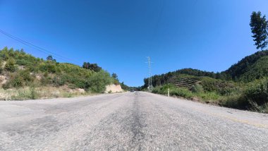 Yol ağaçları gökyüzü. Yüksek kalite fotoğraf