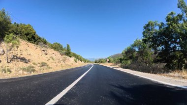 Yol ağaçları gökyüzü. Yüksek kalite fotoğraf