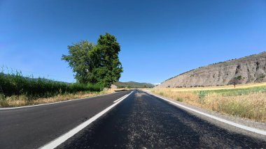 Yol ağaçları gökyüzü. Yüksek kalite fotoğraf