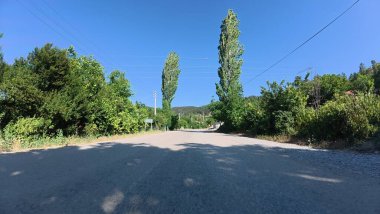 Yol ağaçları gökyüzü. Yüksek kalite fotoğraf