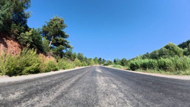 Yol ağaçları gökyüzü. Yüksek kalite fotoğraf