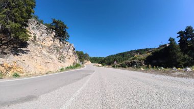 Yol ağaçları gökyüzü. Yüksek kalite fotoğraf