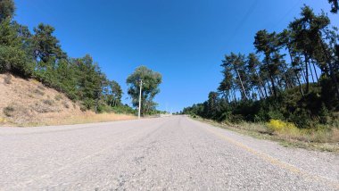 Yol ağaçları gökyüzü. Yüksek kalite fotoğraf