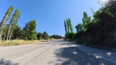Yol ağaçları gökyüzü. Yüksek kalite fotoğraf