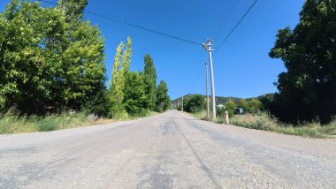 Yol ağaçları gökyüzü. Yüksek kalite fotoğraf