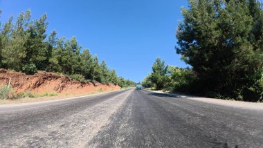 Yol ağaçları gökyüzü. Yüksek kalite fotoğraf