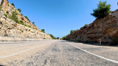 Yol ağaçları gökyüzü. Yüksek kalite fotoğraf