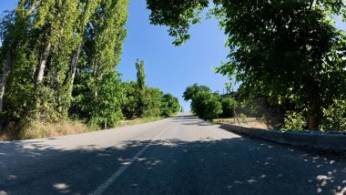 Yol ağaçları gökyüzü. Yüksek kalite fotoğraf