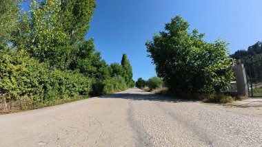 Yol ağaçları gökyüzü. Yüksek kalite fotoğraf