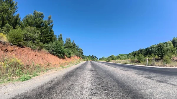 Yol ağaçları gökyüzü. Yüksek kalite fotoğraf