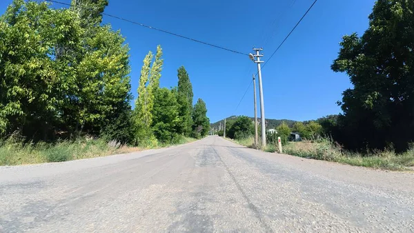 Yol ağaçları gökyüzü. Yüksek kalite fotoğraf