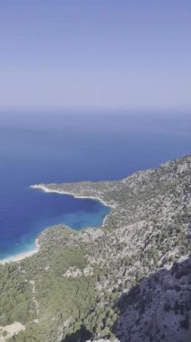 Okyanus çam manzarası. Cliffside orman kıyı şeridi kayalık.