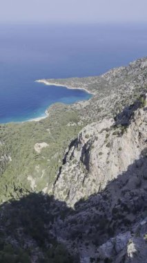 Okyanus çam manzarası. Cliffside orman kıyı şeridi kayalık.