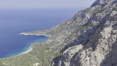 Okyanus çam manzarası. Cliffside orman kıyı şeridi kayalık.