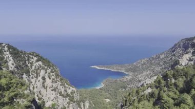 Okyanus çam manzarası. Cliffside orman kıyı şeridi kayalık.