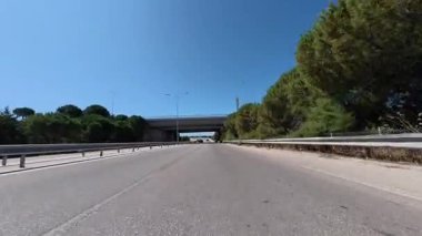 Yol ağaçları gökyüzü. Yüksek kalite fotoğraf