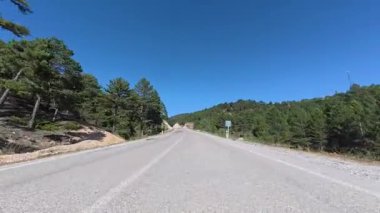 Boş viraj yolu. Yol ağaçları gökyüzü. Yüksek kalite fotoğraf
