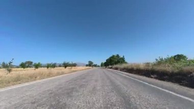 Yol ağaçları gökyüzü. Yüksek kalite fotoğraf