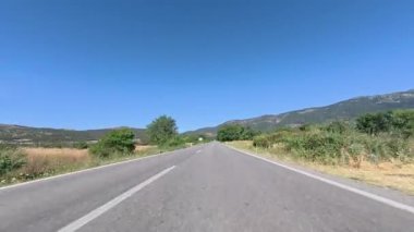 Yol ağaçları gökyüzü. Yüksek kalite fotoğraf