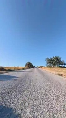 Issız orman yolu. Yol kenarı açık gökyüzü. Otoyol yaz günü çöl manzarası.