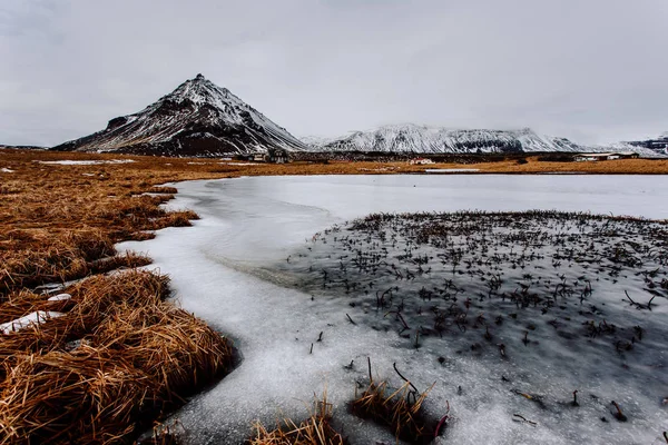 Torrt gräs och snötäckta berg — Stockfoto