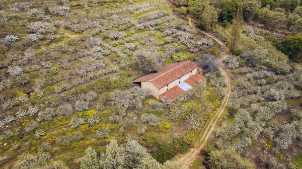 Telhado Enferrujado Edifício Antigo Perto Pequena Estrada Batida Campo Cores — Fotografia de Stock