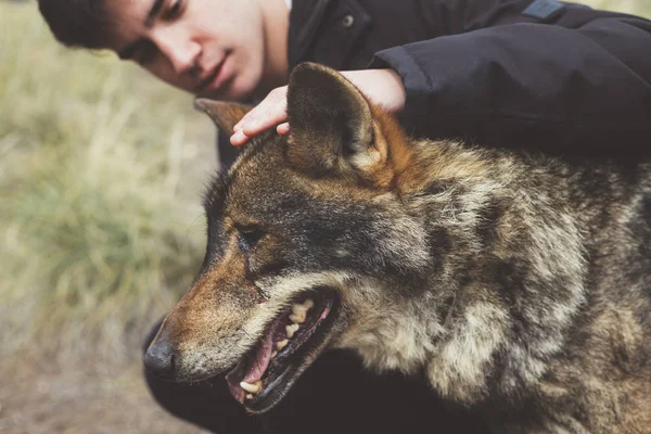 Jovem Acariciando Lobo Zoológico — Fotografia de Stock