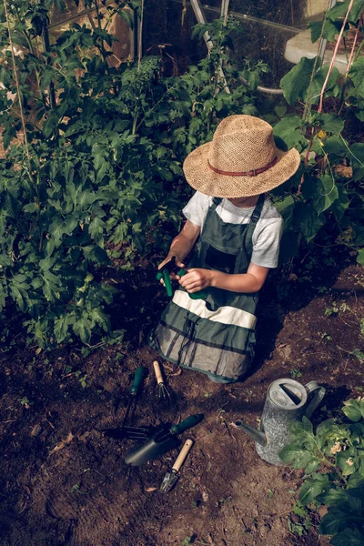 Pojke som arbetar i växthus — Stockfoto