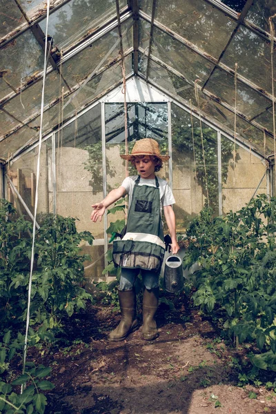 Chłopiec nawadniania roślin w szklarni — Zdjęcie stockowe