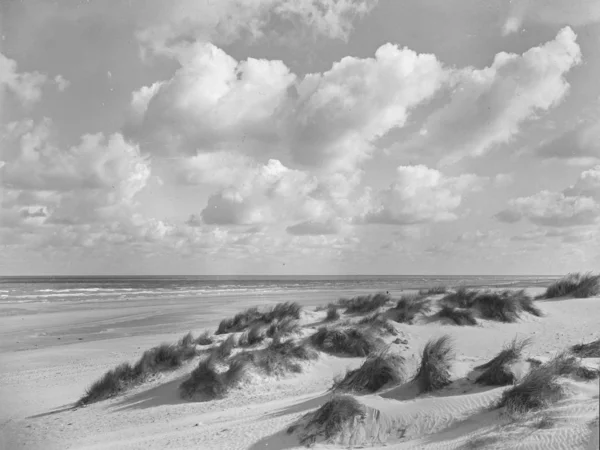 風が強く 曇りの日に草で砂浜の海岸線 — ストック写真