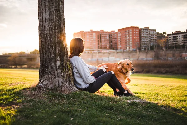 Вид Збоку Випадкової Жінки Сидить Собакою Під Деревом Видом Місто — стокове фото