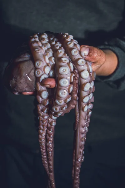 Man Heeft Een Rauwe Octopus Zijn Handen Donkere Foto — Stockfoto