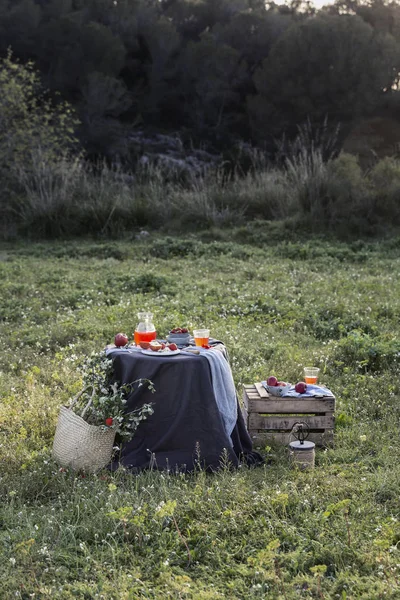 Picnic Romántico Con Manzanas Sobre Hierba — Foto de Stock